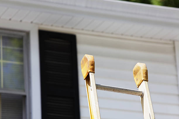 Affordable Siding Repair and Maintenance Services in Lake Stickney, WA